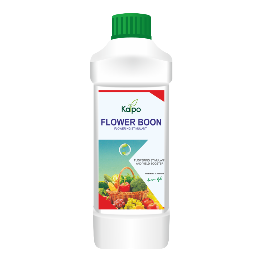 Kaipo Flower Boon